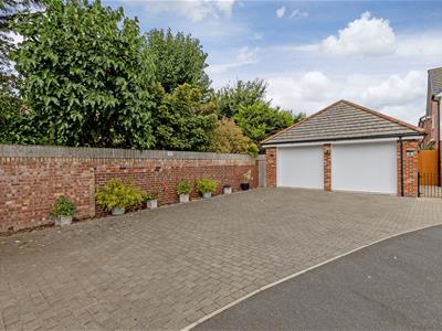 Picture 25